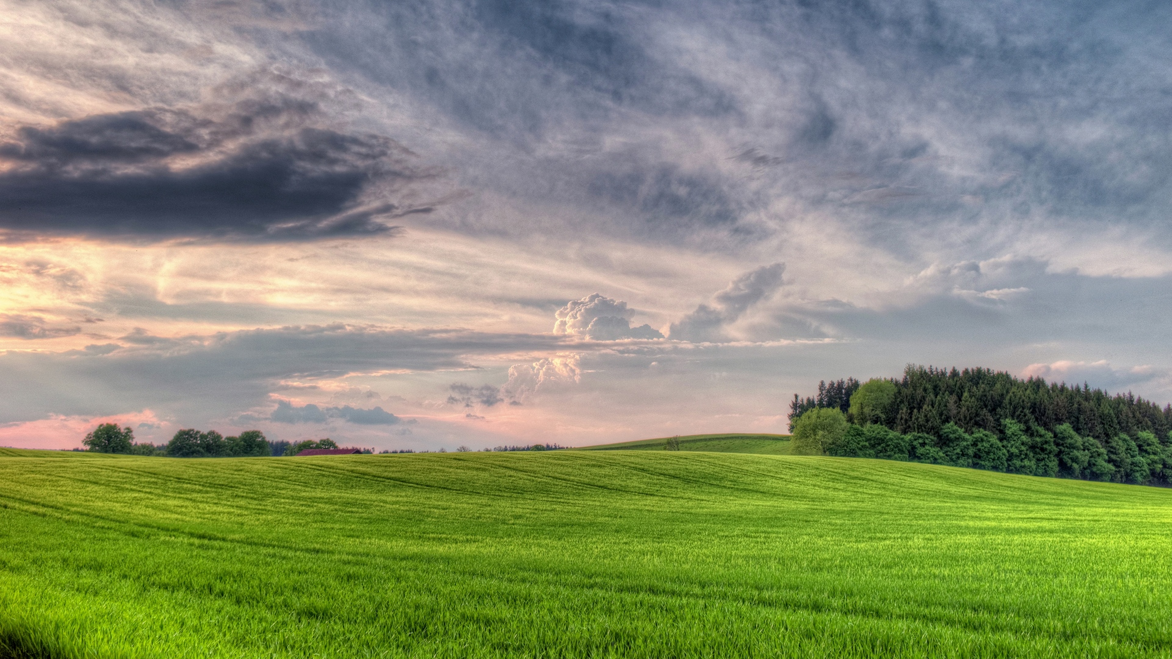 piękna natura