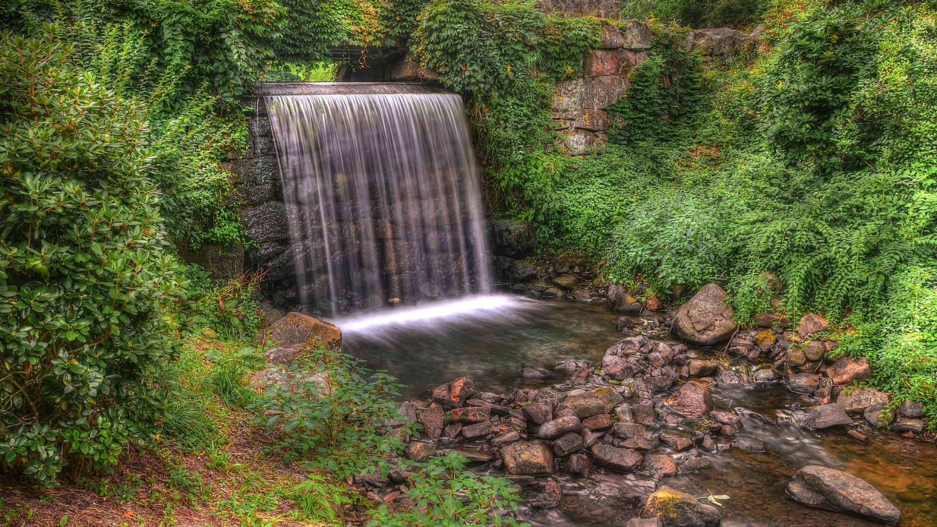 hd natura