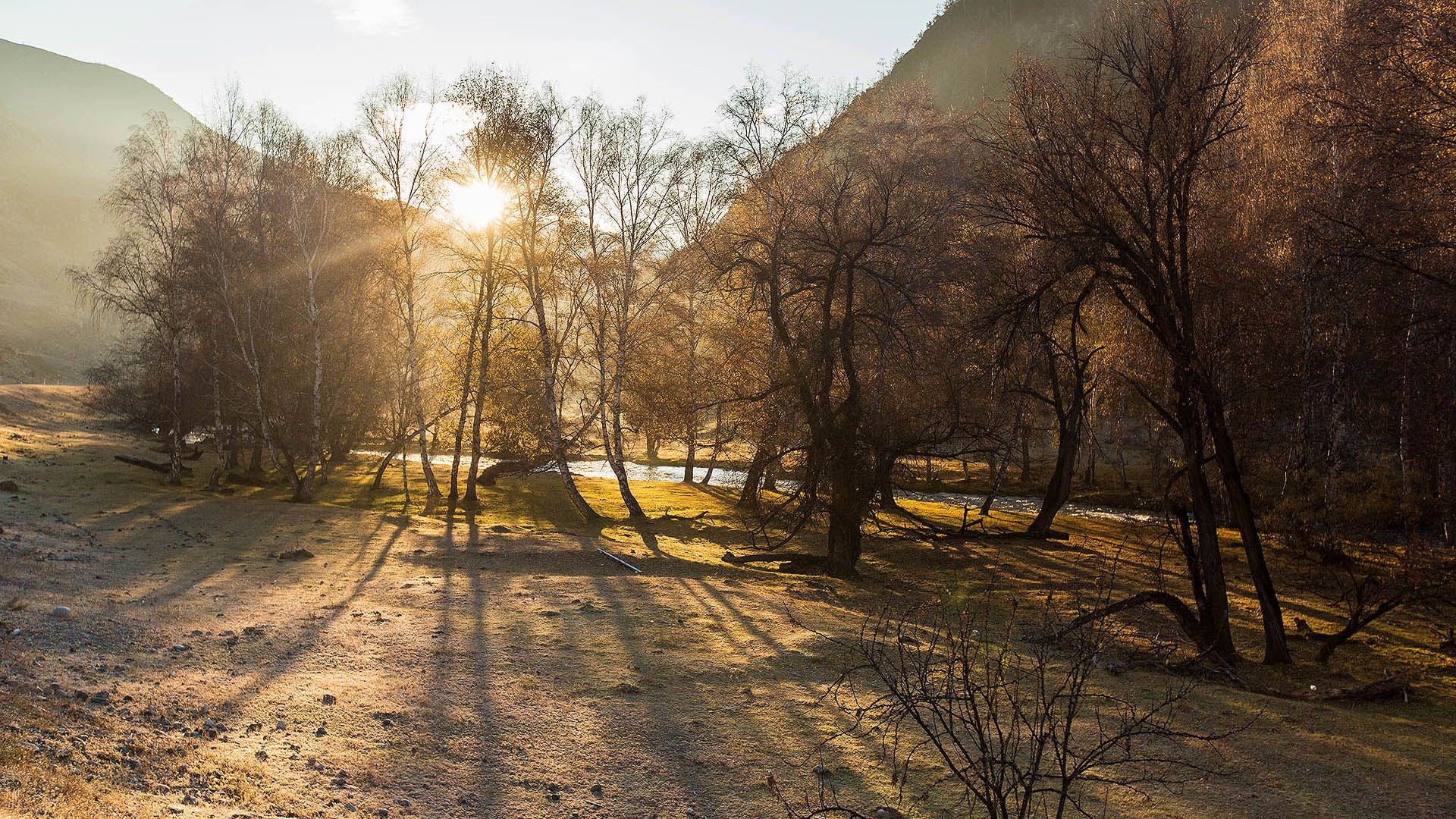 na telefon zachód słońca